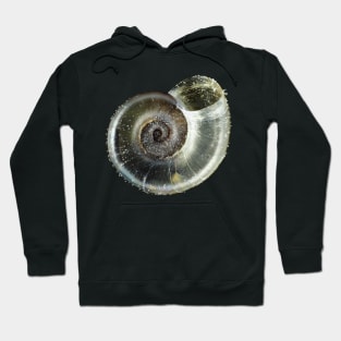 Tiny fungivore snail shell under the microscope Hoodie